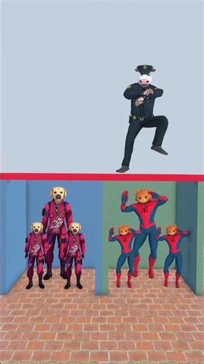 Cow dog cat. Who wins? #funny #dog #cat #memes #shortvideo