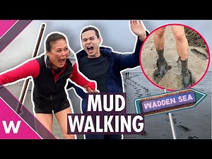 Mud walking on the Wadden Sea in The Netherlands