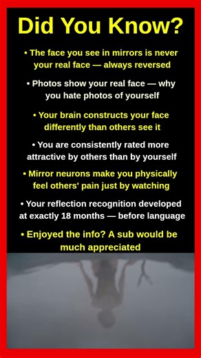 Disturbing Facts About Your Own Reflection 🪞😱