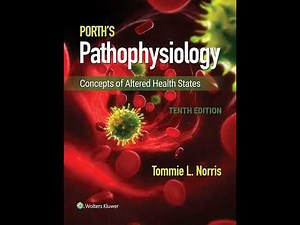 Male Reproductive System Disorders | Chapter 43 – Porth’s Pathophysiology (Tenth Edition)