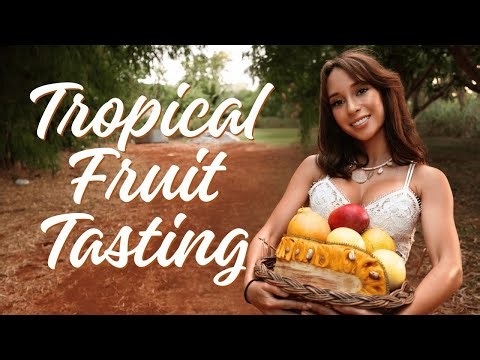 Tasting Paradise: Kauai's Exotic Fruits Adventure 🍍✨
