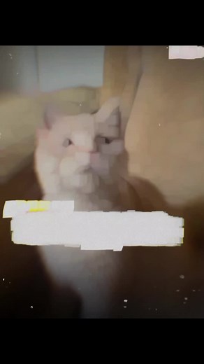 مجھے خوش رکھو: مزاحیہ ویڈیو اور شاعری کا ملاپ