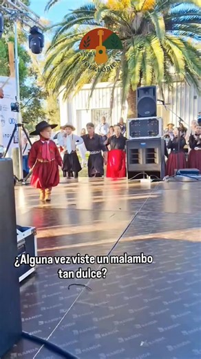 Folklore Argentino | Vibra Folklórica 🇦🇷 on Instagram: "Hay videos que enternecen… y otros que además sorprenden. Ella hace malambo con dulzura, técnica y muchísima presencia. Pura vibra folklórica. 🤎 Hermosa presentación de una alumna de @legado_criollo 🔥 #VibraFolklórica #Malambo #Talento #Raíces #Folklore"