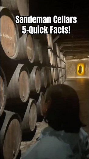 Sandeman Port Wine 🍷 Cellar Tour: 5-Facts!