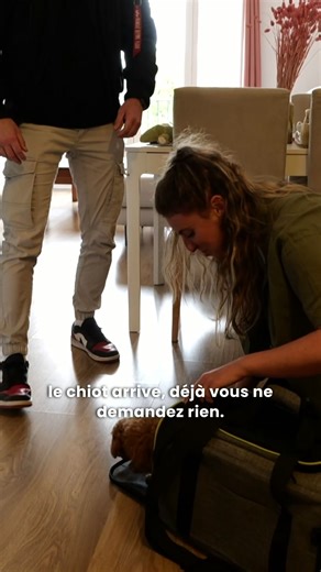 Le 1er jour parfait avec un chiot : c’est ça ! ft. @ami_story_ Éduquez votre chiot parfaitement dès son arrivée avec notre formation en ligne Esprit Dog Chiot : lien en bio. #espritdog #educationcanine #chiot