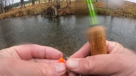 When you know you have the right bait. This trout totally engulfed this Blaze Orange Mountin Critter at Cedar Springs last week. I caught several trout on this lure using a 1/32 Voodoo Custom Jig head. I also used the Hornyhead color as well and had the same results. I always used types of orange baits when the bite slows down at Cedar Springs because this creek is loaded with brown/orange colored sucker minnows. Get your Mountin Critterz at appalachianbaits.com, on Amazon, or at Walmart.com. #f