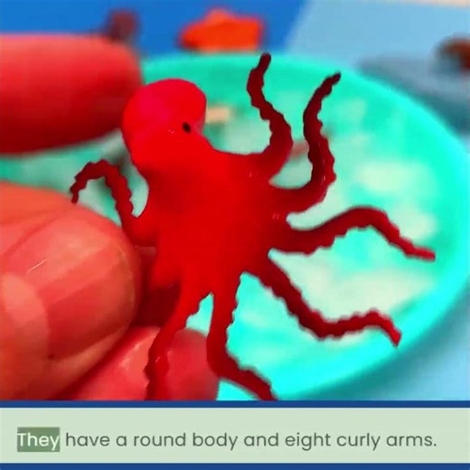 Octopus Fun Facts! Its 8 Arms! 🐙