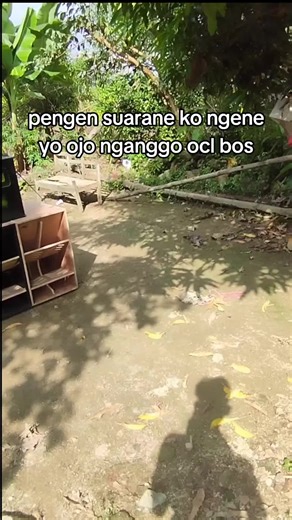 jangan ya bos ya,,bantu folow akun ke 2 DIJESFA AUDIO cah@✿𝕯𝖎𝖒𝖆𝖘 dry⚡ #fyp #sound #miniature #horeg #trending #video #soundsystem #masukberandafyp
