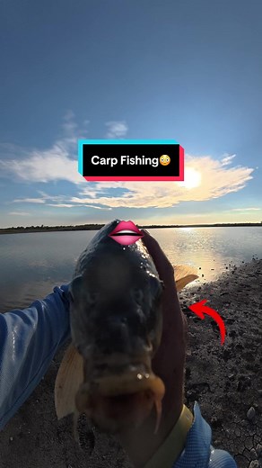 Master Carp Fishing: Easy Tutorial for Beginners