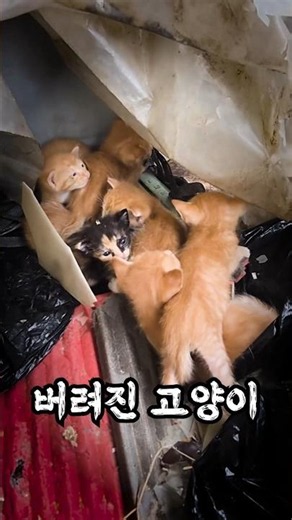 Unexpected Parenting
