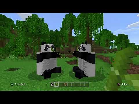 Como domesticar un panda en Minecraft