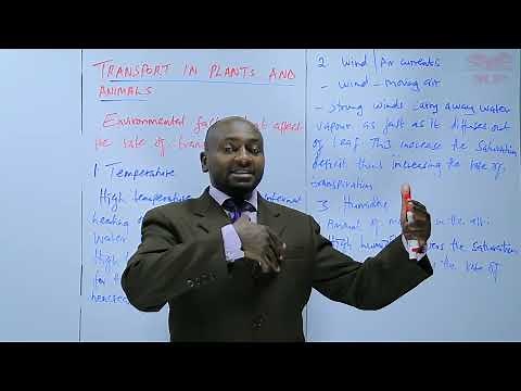 Environmental Factors Affecting the Rate of Transpiration