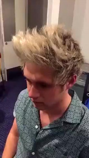Niall Horan's Hair Transformation: Blonde to White
