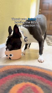 126K views · 962 reactions | Head to your local Petco or Petco.com to restock on your dogs favorite toys and more! | Petco | Facebook