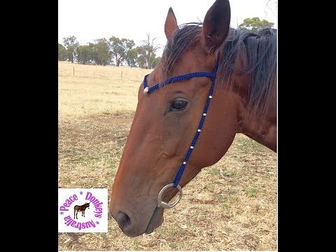 How to make a custom, minimalist bridle, with paracord and beads