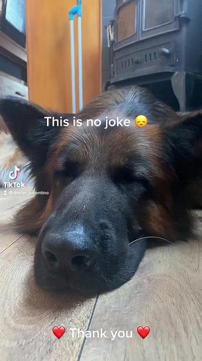 Dexter Valentino on TikTok