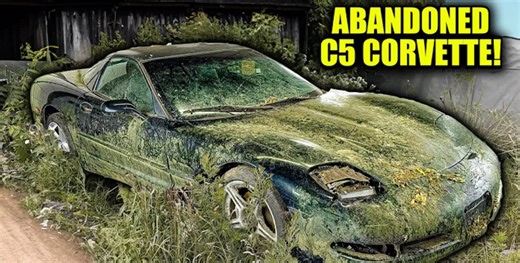 Wrecked C5 Corvette Detailing Restoration | Scrub
