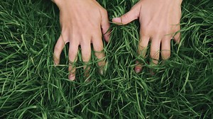 Download female hands gently touch the green grass for free