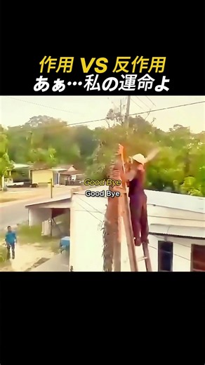 梯子の上で木を切ると起こる悲劇