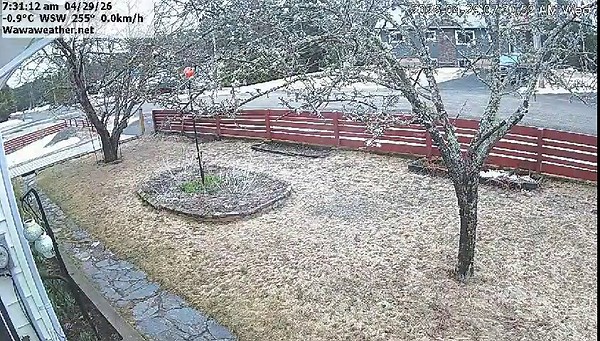 Wawa WeatherWebcam