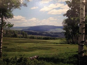 Colorado hunting lease now available on HLRBO! The Eight Bar Ranch is located 10 miles northwest of Burns, off Hwy 301, in hunting unit 25. The property joins the White River National Forest and BLM land. Combination elk and deer hunting. Timber consists of oak, cedar and aspen. Lodging consists of a new completely furnished cabin. We require 4 hunters per season. $2,900 per hunter - Price includes lodging. Find out more today on HLRBO! https://www.hlrbo.com/listing/index/53531 | Hunting Land Re