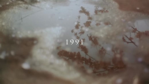 【新曲】| 「1991」米津玄师 |《秒速五厘米》真人版电影主题曲