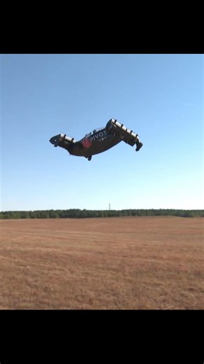 Flying car demonstration previews how tech may look