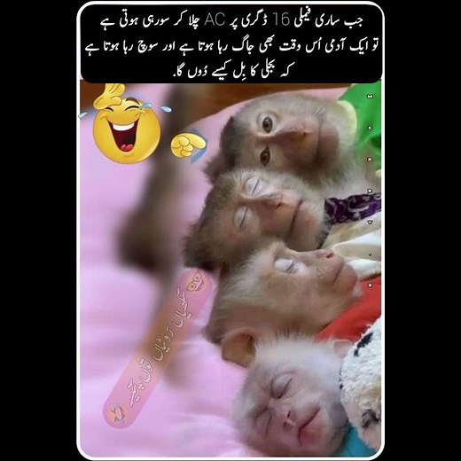 New viral funny video 😅 | most funny video | 🤣 funny memes & comedy #funny #comedy