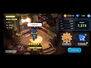Ninja Cookie Voice Over Dub (English | Japanese | Korean) - Cookie Run: Kingdom