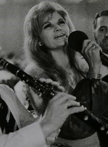 Silvana Armenulić - Da Sam ptica текст