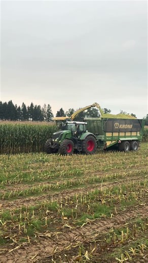 Discover the Power of Green with Schuali