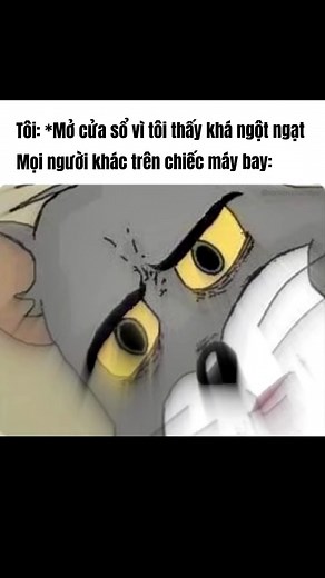 Funny and Cute Asian Memes Compilation