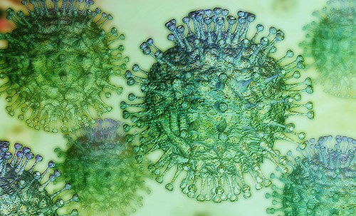 ECDC releases publications on COVID-19 vaccination strategies and joint ECDC-WHO report on considerations for respiratory diseases as guidance for the second half of the year