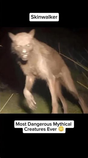 Shape-Shifters That Live Among Us (Part 2) | Scariest Mythical Creatures #shorts