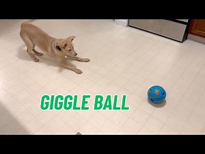 Wobble Wag Giggle Treat Ball - My Dog's Favorite Toy