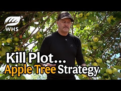 Fruit Trees For Kill Plots | Maybe?