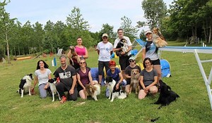Concours canin, ce week-end, pour les mordus de l’agility