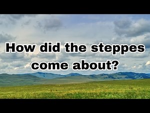 Why there are no trees in the steppes: the mysterious grasslands of nature explained!