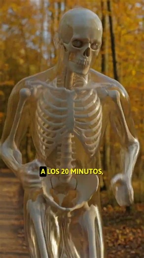 ¿Cuánto tiempo puedes correr sin parar?