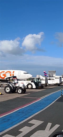 737 800 max Gol linhas aéreas