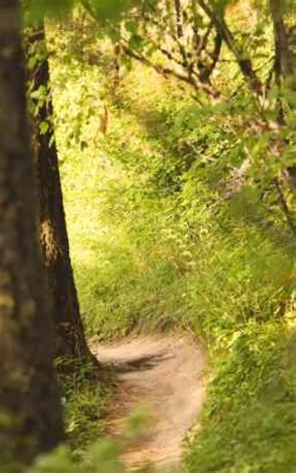 Self-filming fun, capture every moment