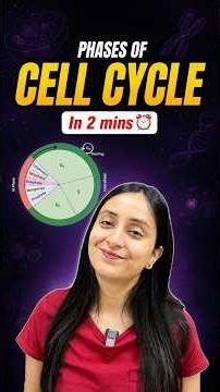 Phases of Cell Cycle: Interphase & M Phase📝 #neet #study #class11 #shorts #biology #yt