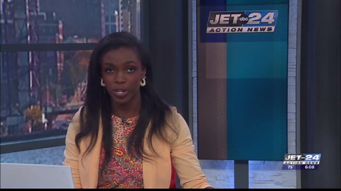 Lake Erie festival shines with live music, crafts, and wine