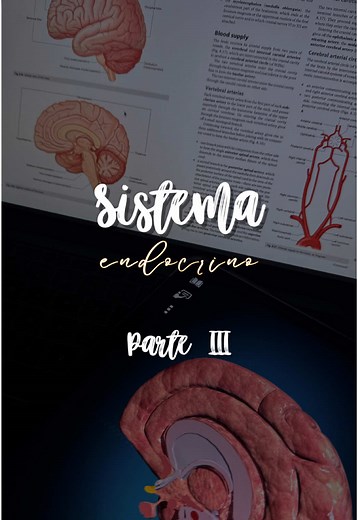Sistema Endocrino: Eje-Hipotálamo-Hipófisis explicado