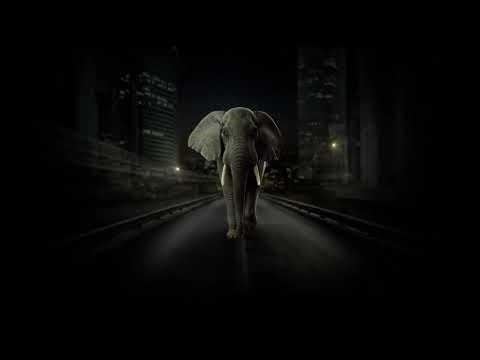 Opening Logos - The Last Shaman (2016)