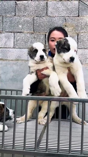 Unicorn Makeup Transformation - Magical Look in 3 Steps