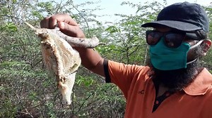 30 reactions · 4 comments | HUNTING | HoneyHunters | Facebook