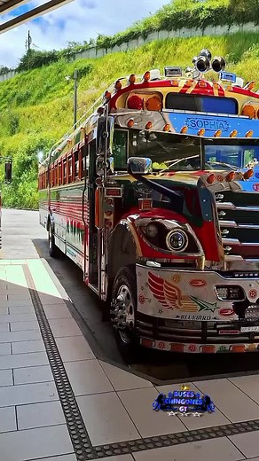 Elegancia en el transporte: Buses de Guatemala