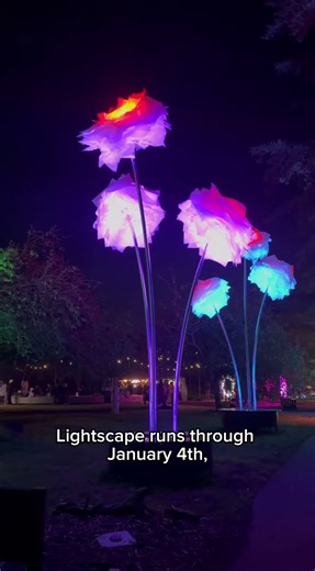 Come with me to Lightscape on opening night!