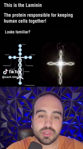 Laminin holds cells together, and it looks like a cross! #science #Jesus #cross